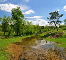 Reka_Pivka_Franci Horvat